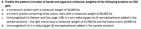 Predict the and apparent molecular weights) of the following proteins on SDS mber gels: a. a monomeric protein with a molecular weight of 35,000 Da b. a trimeric protein containing three chains, each with a molecular weight of 60,000 Da c. immunoglobulin G (Nelson and Cox, page 178) in a non-reducing gel (no mercaptoethanol added in the sample solution)-the light chains have a molecular weight of 25,000 Da and the heavy chains 50,000 Da d. immunoglobulin G in a reducing gel (B mercaptoethanol added in the sample solution)