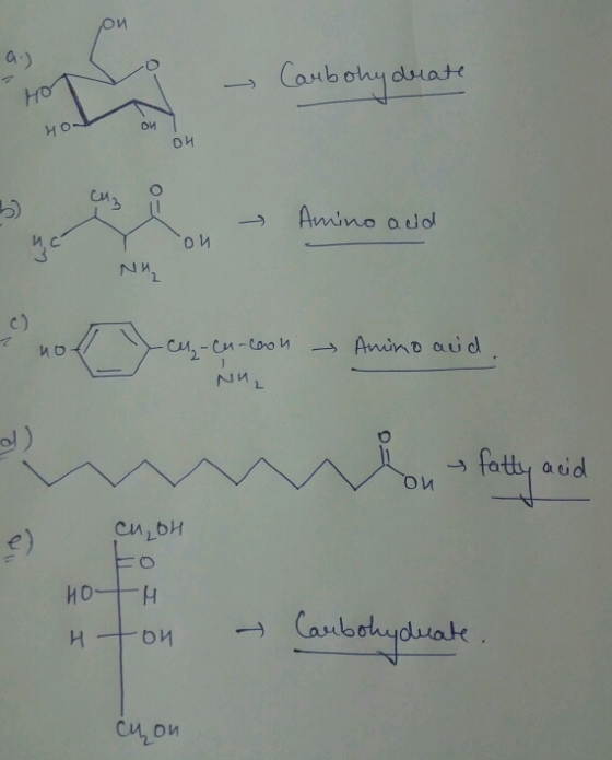 Ca Но он Amino odo и с. c) ol ) → fatty aud e)