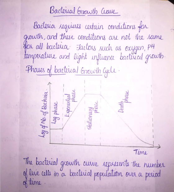 Bacterial Growth Curve Bacteria requieres certain conditions for growth, and these conditions are not the same for all bacter