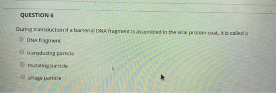 QUESTION 6 During transduction if a bacterial DNA fragment is assembled in the viral protein coat, it is called a DNA fragmen