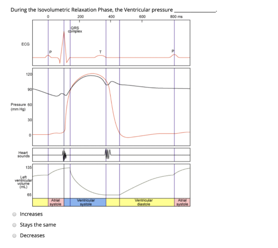 During the Isovolumetric Relaxation Phase, the Ventricular pressure 200 400 600 800 ms QRS complex ECG 120 Pressure 60 (mm Hg