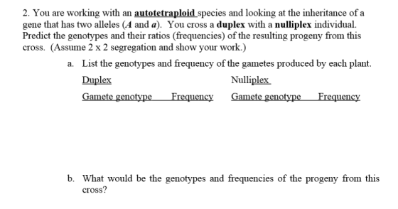 2. You are working with an autotetraploid species and looking at the inheritance of a gene that has two alleles (A and a). Yo