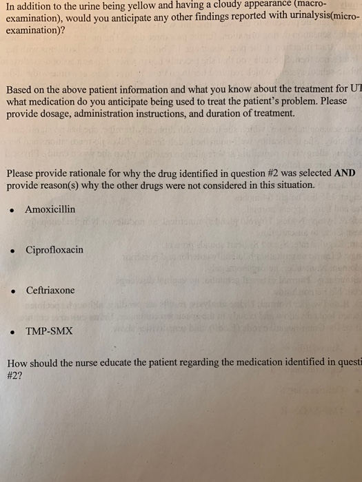 In addition to the urine being yellow and having a cloudy appearance (macro- examination), would you anticipate any other fin