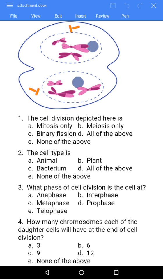 E attachment. docx Insert Review File View Edit Penn 1. The cell division depicted here is a. Mitosis only b. Meiosis only c. Binary fission d. All of the above e. None of the above 2. The cell type is a. Animal b. Plant c. Bacterium d. All of the above e. None of the above 3. What phase of cell division is the cell at? a. Anaphase b. Interphase c. Metaphase d. Prophase e. Telophase 4. How many chromosomes each of the daughter cells will have at the end of cell division? b. 6 a. 3 d. 12 c. 9 e. None of the above