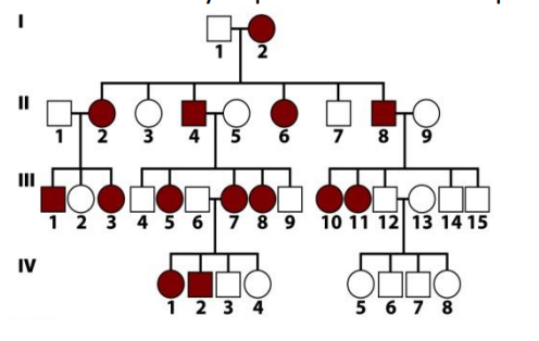 123456789 10 11 12| 13 14 15 1234