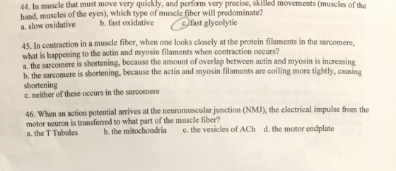 In muscle that must move very quickly, and perform