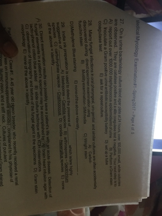 Medical My cology Examination#1-Spring 2017 Page 4 of 5 27. On a urine bacteriology culture blood agar plate at 24 hours, over 100,000 small, white colonies are observed. They are catalase positive and a side coagulase test s negative. Your next to A) report out over 1000,000 staphylococcus epidermidis/ml of urine B) Perform a Gram sta C) Inoculate a Gram positive urine antibiotic susceptibility battery D) set up a tube E) ask for a repeat culture. coagulase test 28. Many fungal infections in oral pharyngeal, uro-gential and similar cultures are often accidentally A) Carbol- discovered during direct specimen examination using B) Motility examination-SlMmedia C) Wright stain fuschin stain sidentify D)Methylene Blue staining E) none of the above 29. India ink preparation is used to detect the prese which is/are highly none of Geotrichium suggestive of A) blastopores Candida species B) arthrospores species E) C) capsule mypt D) conidia of the above identify Direct examination results can possibly save patients life with an acute disease. Detection of specimen may be accomplished by brain heart infusion agar with fungal elements in a patients culture technique with KOH observations Gram stain cotton blue added B) slide the specimens D) observation of and texture of the fungal agent in morphology none of the above identify Case 45 year old pigeon breeder, who recently received a renal was on steroids), complained to his physician of rinnss blurred vision, and a stiff neck. Cultures of purulent stained Gram