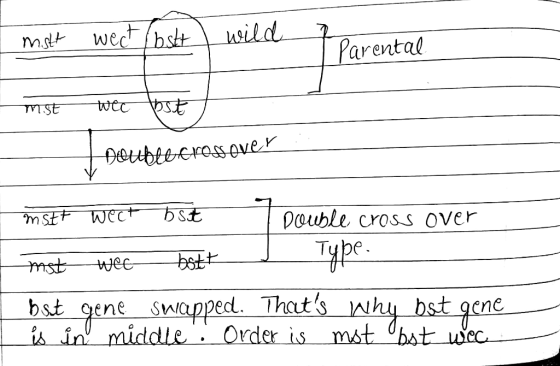 most wect/bstt wild learental most wee bst Hoouble crossover mstt wet b st Double cross over Imst wee bott Type- bst gene swa