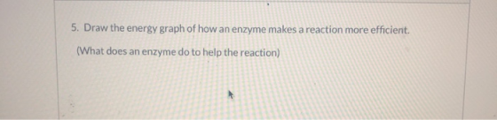 5. Draw the energy graph of how an enzyme makes a reaction more efficient. (What does an enzyme do to help the reaction)