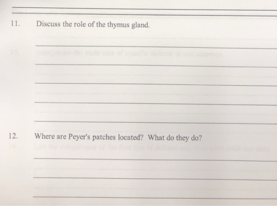 11 Discuss the role of the thymus gland. 12. Where are Peyers patches located? What do they do?