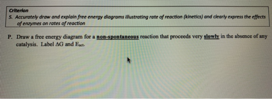 Criterion 5. Accurately draw and explain free energy diagrams Illustrating rate of reaction (kinetics) and clearly express th