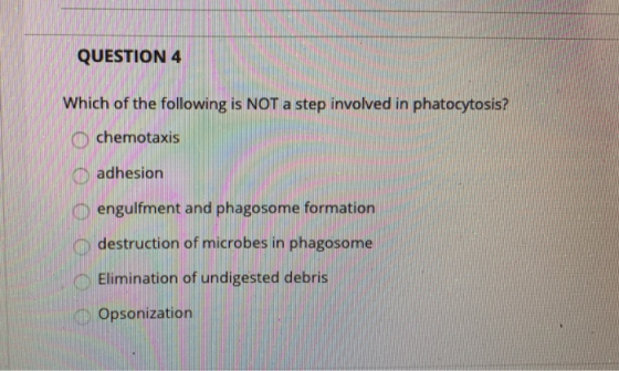 QUESTION 4 Which of the following is NOT a step involved in phatocytosis? O chemotaxis 0 adhesion O engulfment and phagosome