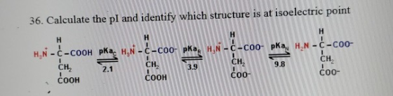 36. Calculate the pl and identify which structure is at isoelectric point H.N -ċ-COOH pka HN - ċ-Coo- pkar H.N-C-COO CH соон