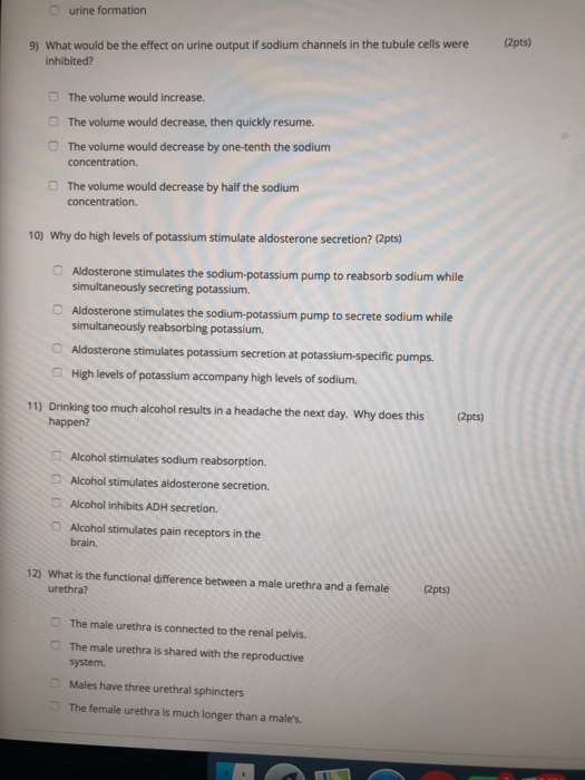 urine formation (2pts) 9) What would be the effect on urine output if sodium channels in the tubule cells were inhibited? The