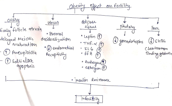 Obesity effect on fertility ovary ovary Id adipose tissue tissue pitutary Early follicle atresia liver delayed terus • Stroma
