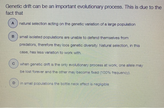 Genetic drift can be an important evolutionary process. This is due to the fact that (A natural selection acting on the genet