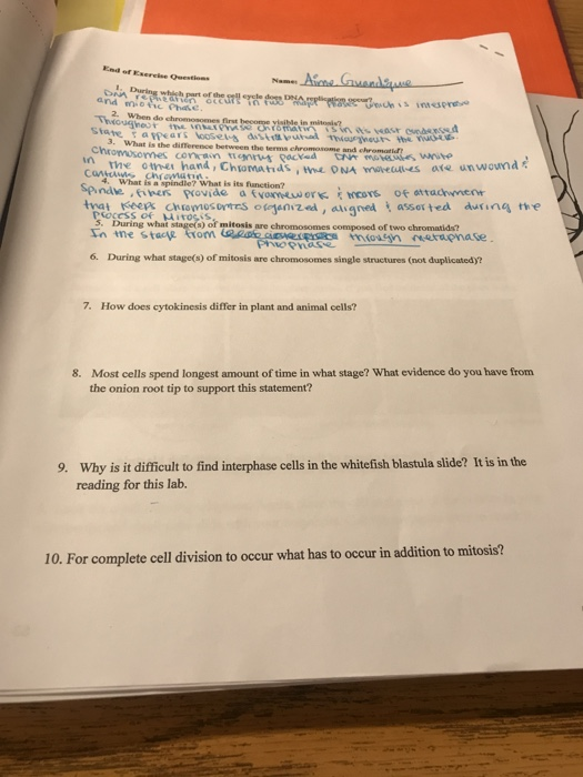 Kod of serie Questions Name Aime Guendue Dan Be and we st The D ochis was Thoughes to the a uthor you to search Store Tapers