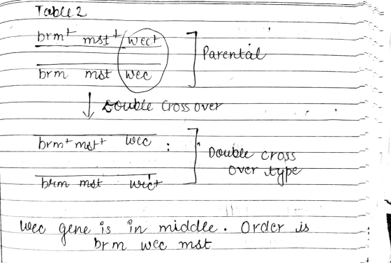 Table 2 brmt mst tweet _ Parental brm mot wee troubte Gross Over bromt mott wie : Double cross blem mst wat Over type wee ord