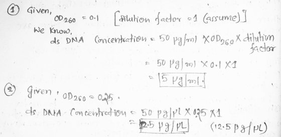 1 A DNA Prep With An A260 Of 0 1 Has A Concentration Of Ug ml 2 