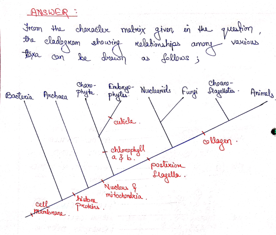 ANSWER: From the character malreix given in the the cladegream showing relationships amory taxa can be brown as follows; ques