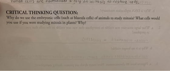 numan cells are mai comuar rely on mitosis to restore cells CRITICAL THINKING QUESTION: S230on nosilq31 AVCI zi vdW.d Why do