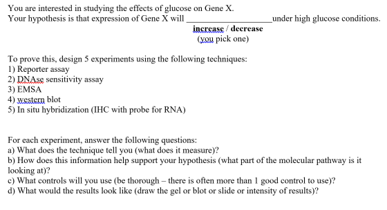 You are interested in studying the effects of glucose on Gene X under high glucose conditions. Your hypothesis is that expression of Gene X will increase decrease (you pick one) To prove this, design 5 experiments using the following techniques: 1) Reporter assay 2) DNAse sensitivity assay 3) EMSA 4) Western blot 5) In situ hybridization (IHC with probe for RNA) For each experiment, answer the following questions: a) What does the technique tell you (what does it measure)? b) How does this information help support your hypothesis (what part of the molecular pathway is it looking at? c) What controls will you use (be thorough there is often more than 1 good control to use)? d) What would the results look like (draw the gel or blot or slide or intensity of results)?
