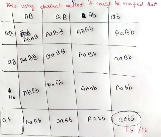 Also using T AB classical method it could be verified that ABI Ab Tab ABB AABB ABB AaBb aa BB Aa Bb AB/Aa Bb aaBb Aa Bb AAbb