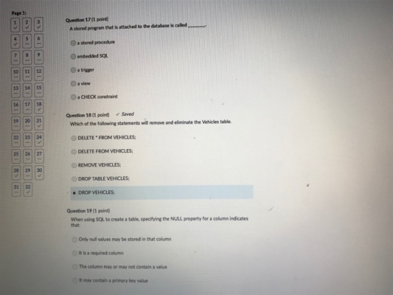 Page 1: 121 3 Question 17(1 point) A stored program that is attached to the database is called a stored procedure 990 Oembedd