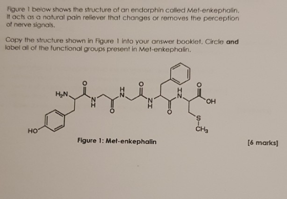 Figure 1 below shows the structure of an endorphin called Met-enkephalin. It acts as a natural pain reliever that changes or