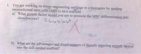 1. You are working on tissue engineering cartilage in a bioreactor by seeding mesenchymal stem cells (MSCs) on a scaffold. a)