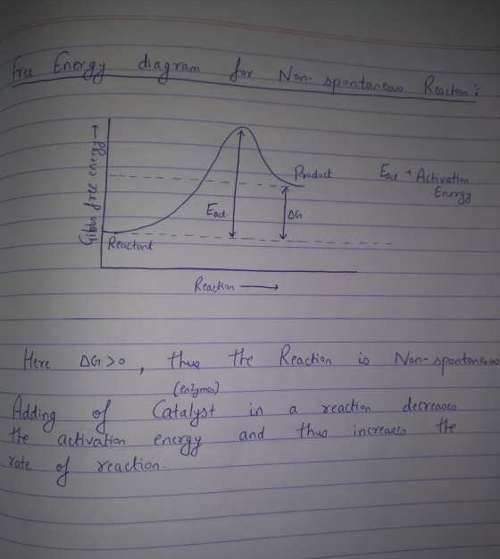 Tree Energy diagram ram for Non- spontaneous Reaction is Product Eact a Rheaua dep ogg! Activation -- Energy OG Reactant Reac