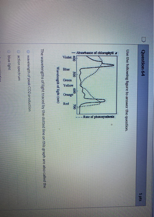 Question 64 1 pts Use the following figure to answer the question. -Absorbance of chlorophylla - Rate of photosynthesis F 500