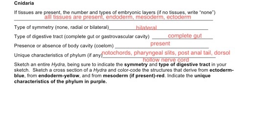 Cnidaria If tissues are present, the number and types of embryonic layers (if no tissues, write none) alll tissues are pres