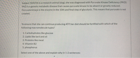 Subject 504V56 is a research animal (dog), she was diagnosed with Pyruvate kinase Deficiency (PKD). PKD is a genetic metaboli