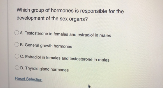 Which group of hormones is responsible for the development of the sex organs? O A. Testosterone in females and estradiol in m