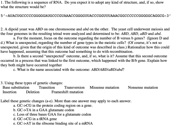 1. The following is a sequence of RNA. Do you expect it to adopt any kind of structure, and, if so, show what the structure w
