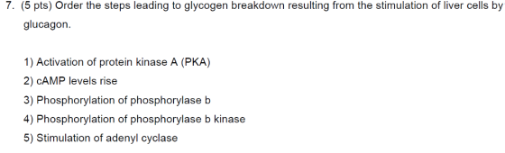 7. (5 pts) Order the steps leading to glycogen breakdown resulting from the stimulation of liver cells by glucagon 1) Activation of protein kinase A (PKA) 2) CAMP levels rise 3) Phosphorylation of phosphorylase b 4) Phosphorylation of phosphorylase b kinase 5) Stimulation of adenyl cyclase