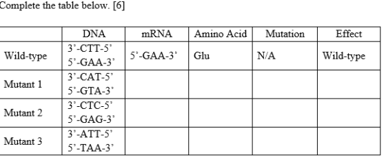 Complete the table below. [6] mRNA Amino Acid Mutation Effect Wild-type 5-GAA-3 Glu N/A Wild-type Mutant 1 DNA 3-CTT-5 5-GAA-