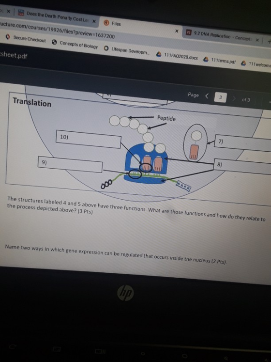 x Does the Death Penalty Costle x Files ructure.com/courses/19926/files?preview=1637200 Secure Checkout Concepts of Biology L