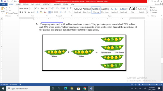 Graded Assignment-2 Compatibility Mode] - Word (Product Activation Failed) MAILINGS REVIEW VIEW FILE HOME INSERT DESIGN PAGE