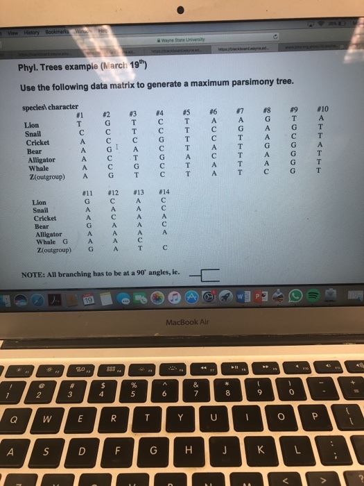 State University Phyl. Trees example (March 19h) Use the following data matrix to generate a maximum parsimony tree. speciesł character #l #2 #3 #4 #5 #6#7#8#9#10 T G T C T A A G T A Snail Cricket Bear A C CG T C T A C T I A Whale Zloutgroup) AG TC T A T C G T #11 #12 #13 #14 G c A C A A A C Cricket Bear Alligator Whale CG Z(outgroup) G G A A C A T C NOTE: All branching has to be at a 90 angles, ie. 点 MacBook Air