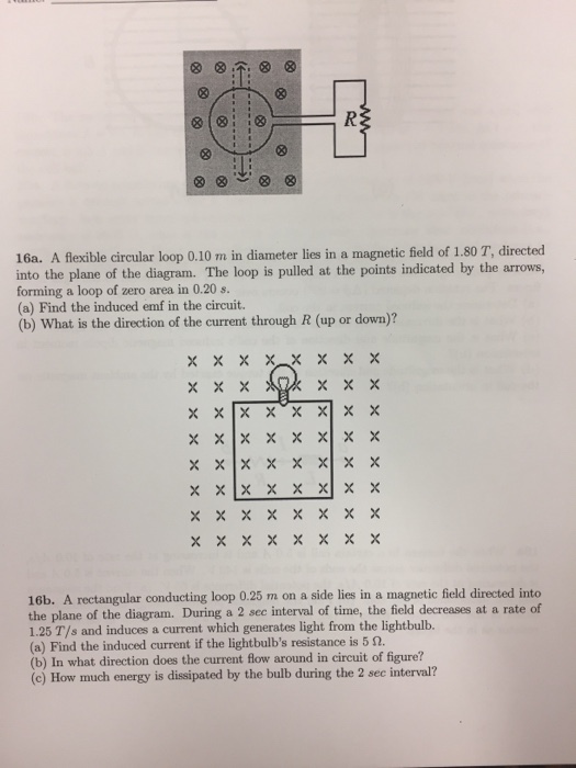 A flexible circular loop 0.10 m in diameter lies