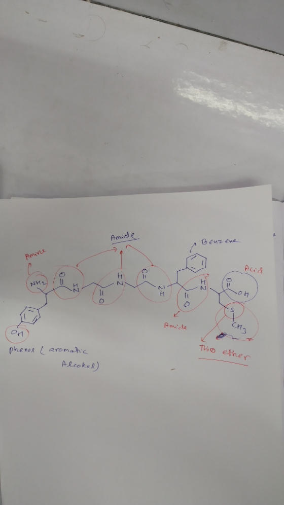 Amidle Benz ene Aimine NH2 Amicle Thio ether phener aromahc Alcoros)