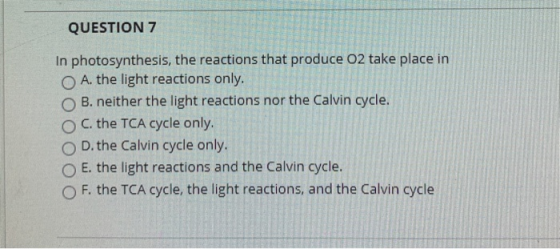 QUESTION 7 In photosynthesis, the reactions that produce O2 take place in A. the light reactions only. B. neither the light r