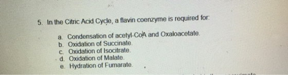 5. In the Citric Acid Cycle, a flavin coenzyme is required for a. Condensation of acetyl-CoA and Oxaloacetate. b. Oxidation o