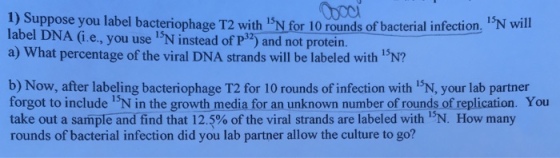 Suppose you label bacteriophage T2 with 15N for 10