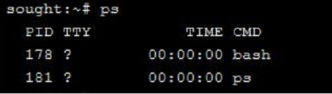 sought:~# ps PID TTY 178 ? 181 ? TIME CMD 00:00:00 bash 00:00:00 p3