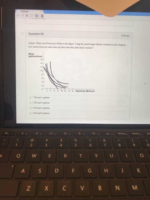 Canvas Question 30 3.45 pts (Figure Water and Electricity) Refer to the figure Using the solid budget (black) constraint in t
