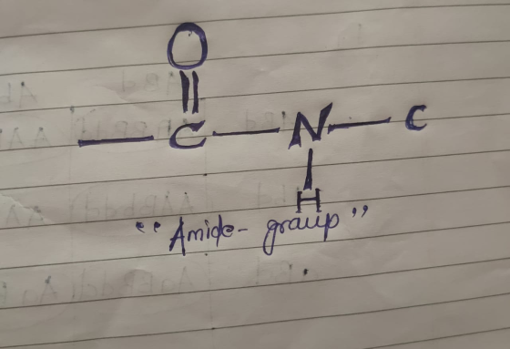 • Amide- graup