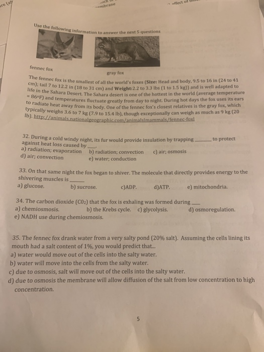effect of Use the following ng information to answer the next 5 questions fennec forx gray fox he fennec fox is the smallest